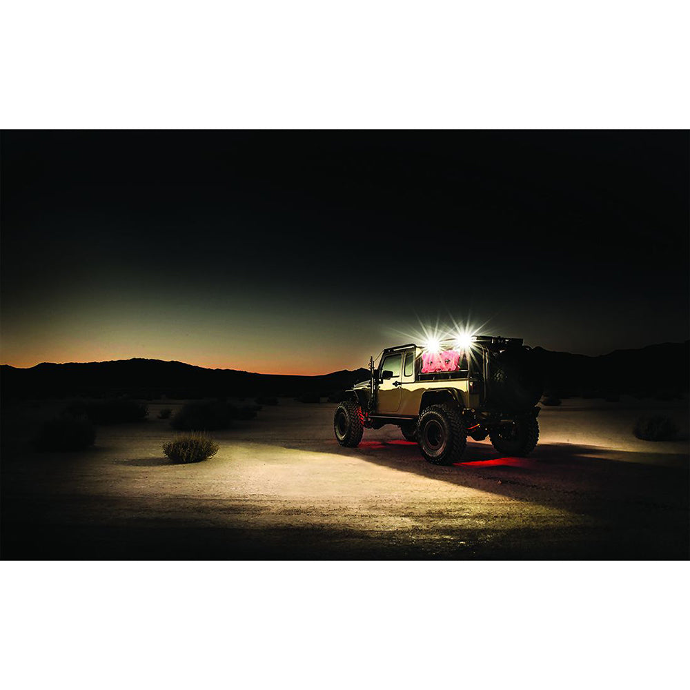 RIGID Industries 1" x 2" 65 - DC Scene Light - Black [86610]